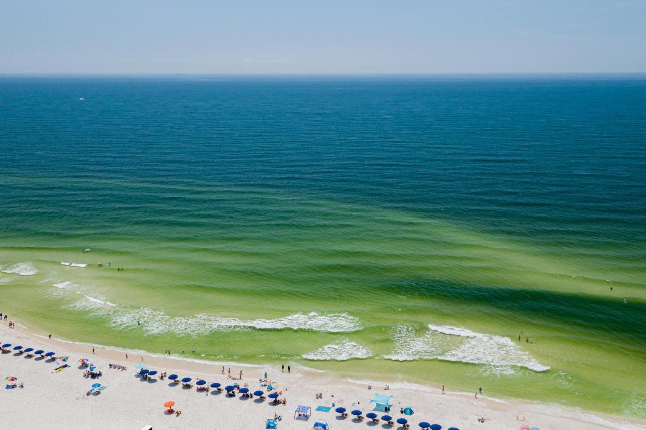 Appartamento Sunset Spring Break Special ! Gulf Shores Esterno foto
